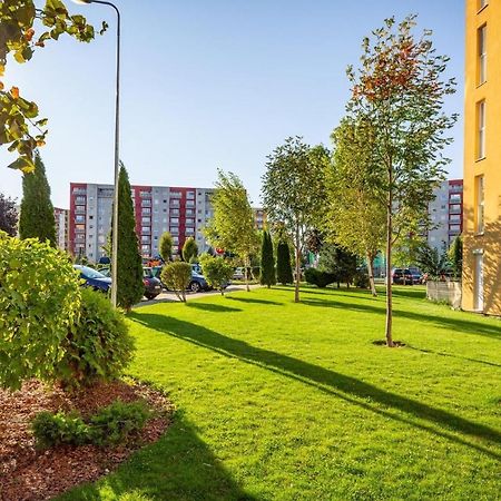 Apartment Richy Braşov Eksteriør billede