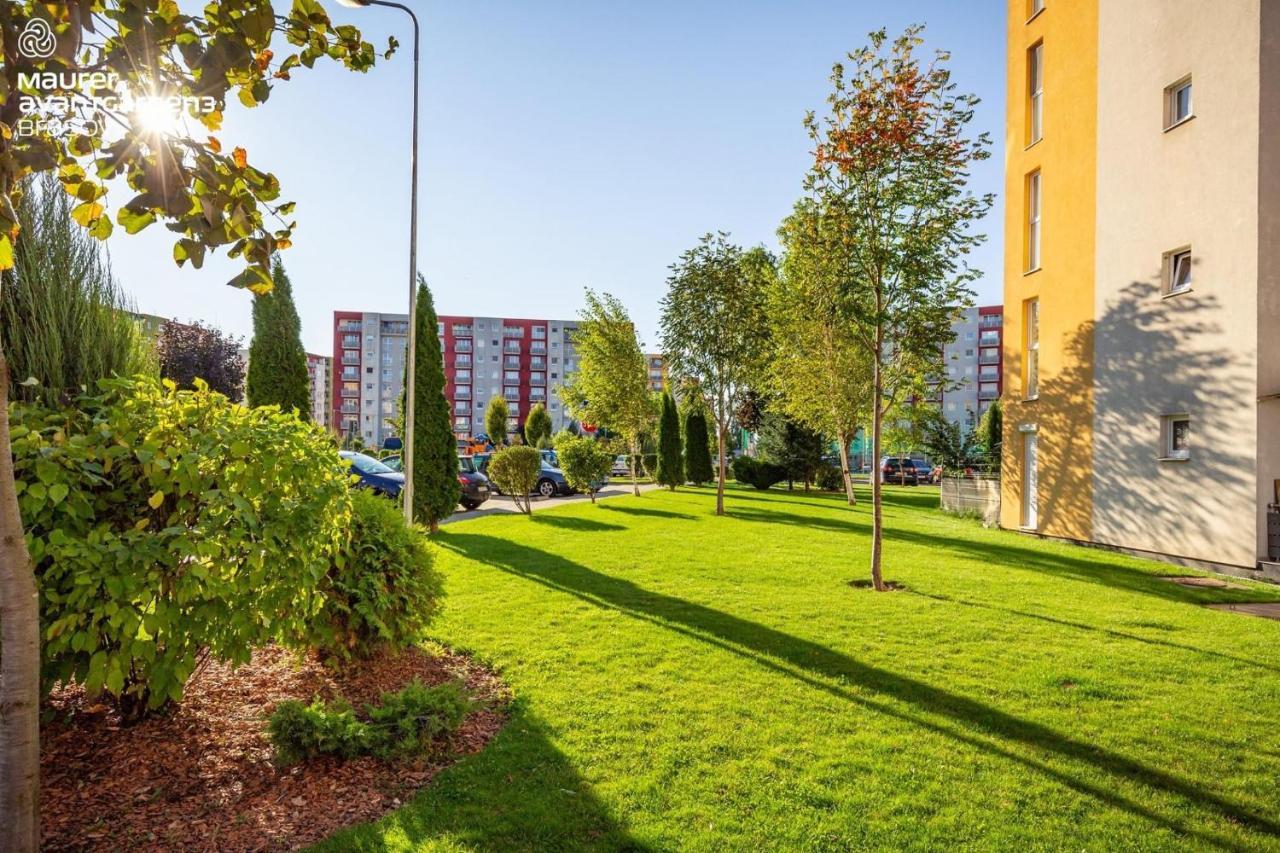 Apartment Richy Braşov Eksteriør billede